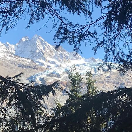 Appartement Cosy Proche Des Grands Montets Chamonix Exterior foto