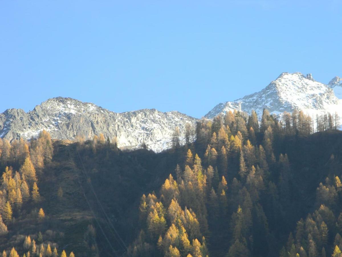 Appartement Cosy Proche Des Grands Montets Chamonix Exterior foto